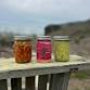 Slide Ranch Fermentation Workshop: November 15th event image