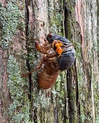 Laura Catherine Hacker (@hackercathy) • Instagram photos and videos