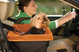 The Latest In Dog Travel Essentials From Global Pet Expo Petguide Booster Seat Dog Car Seats Dog Travel