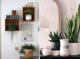 Decorar con plantas de interior. Decorar Con Plantas Las Mejores Ideas 2021