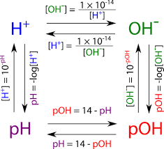 Poh Scale And Calculations Read Chemistry Ck 12