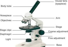 Light Microscopes An Overview Sciencedirect Topics