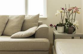 Ada beberapa tanaman berdasarkan feng shui dipercaya dapat mengundang keberuntungan. 3 Jenis Tanaman Paling Bagus Ditanam Di Dalam Rumah Menurut Feng Shui Okezone Lifestyle