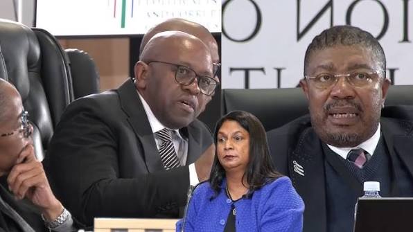 WATCH | Sesoko directly contradicts Andrea Johnson, says IDAC manual was approved in Oct 2024