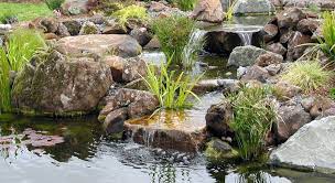 Plants For Ponds And Waterfalls Pond Magic Ponds Waterfalls Water Gardens Landscaping Santa Water Features In The Garden Water Features Ponds Backyard