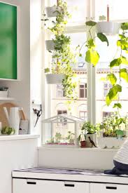 Bittergurka Ampel Weiss Ikea Deutschland Mit Bildern Ikea Pflanzen Garten Ikea