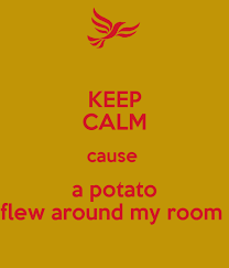 View this vine on vine. Keep Calm Cause A Potato Flew Around My Room Poster Lol Keep Calm O Matic