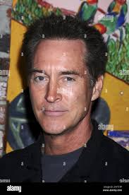 Hogestyn hi-res stock photography and images