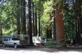 Check spelling or type a new query. Camping On The Redwood Coast