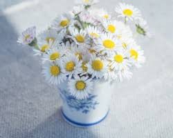 Maybe you would like to learn more about one of these? Top 10 Florists In Irving Tx Quick Flowers Delivery Service