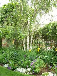Sw Corner Of Front Yard Birch Trees Garden Landscape Design Birch Trees Garden Fence Landscaping