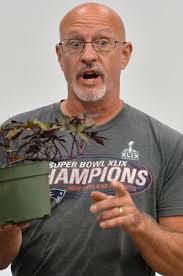 Planting a seed of interest