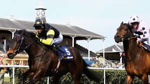 Jack Dexter set high draw assignment in Ayr Gold Cup