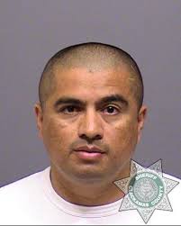 Trooper in I-205 stop loses job, gets one week in jail for official  misconduct