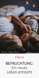 Befruchtung Ein Neues Leben Entsteht Schwanger Kinder Wunsche Einnistung