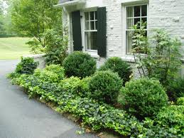Need Help Improving Curb Appeal Houzz Low Maintenance Landscaping Front Yard Traditional Landscape Front Yard Landscaping