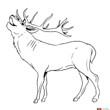 Pin Auf Ausmalbilder