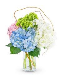 Same day flower delivery is available at no additional cost. Jersey City Brennans Flower Shop New Jersey Flowers Jersey City New Jersey Florist Send Flowers Online