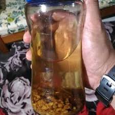 Kontolku semakin keras dan tegang saja. Mampukah Ramuan Minyak Buah Keras Mengembalikan Rambut Anda Ben Ashaari
