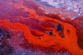 Intuitive fred888: Mysterious orange goo washes up in Alaska village