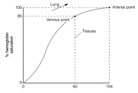 Hypoxia Slow Onset