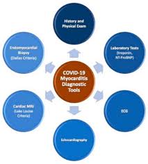 Clinical presentation clinical presentation is variable in severity, ranging from asymptomatic to. Medicina Free Full Text Update On Covid 19 Myocarditis Html