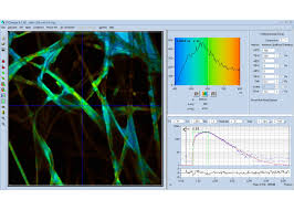 Dcs 120 multiphoton flim system becker hickl gmbh. Dcs 120 Multiphoton Flim System Becker Hickl Gmbh