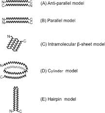 An intramolecular force is any force that holds together the atoms making up a molecule or compound. Supposed Intramolecular And Intermolecular Structures With B Sheets Of Download Scientific Diagram