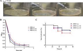 Image result for Striga baumannii