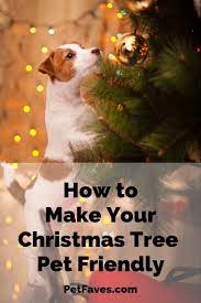 With a stocking shaped like a paw, there will be no questions on who it belongs to! How To Pet Proof Your Christmas Tree