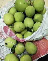 Bahan utama yang cukup populer diolah jadi makanan pedas adalah ayam. Cara Cara Buat Jeruk Mangga Tanpa Guna Pengawet