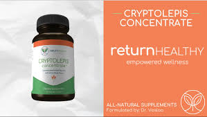 Image result for Cryptolepis products