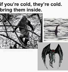 We did not find results for: If You Re Cold They Re Cold Bring Them Inside