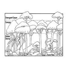 When autocomplete results are available use up and down arrows to review and enter to select. 27 Printable Nature Coloring Pages For Your Little Ones