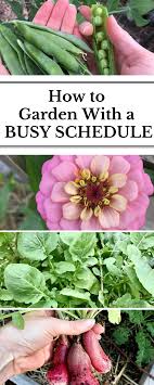 How To Garden With A Busy Schedule Advice For Busy People From Busy People Nourishing Pursuits Garden Care Backyard Vegetable Gardens Organic Vegetable Garden