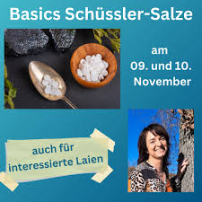 HOLLER-Heilpraktikerschule