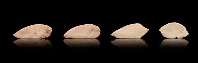 Frying — how to avoid rubbery fried chicken. Yes You Are Overcooking Your Food Modernist Cuisine