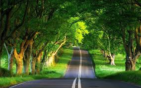 Find the best beautiful wallpaper pictures on wallpapertag. Latest Nature Wallpapers 2017 Hd Wallpaper Cave