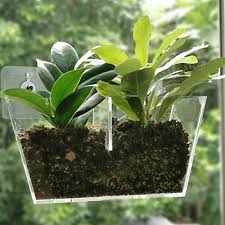 Only high quality brands, good guide and common questions at wowpencils. Niuxx Acrylic Window Planter Boxes Creative Flower Pot Holder Plant Tray Shelf With Suction Cup Great Outdoor Indoor Decorative Gift For Home Medium Size With 2 Compartments Pricepulse
