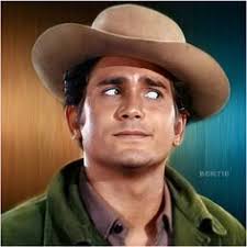 900+ Michael Landon ideas