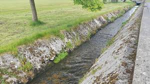 LETTER OF THE WEEK: Keeping an old Castlebar traditional alive