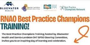 RNAO Best Practice Champions Training