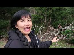 nhung ha cuoc song vung nui o my,tham con gai ong xa