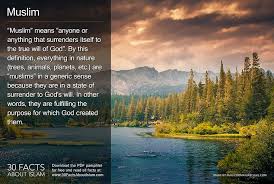 Muslim Means Anyone Or Anything That Surrenders Itself To The True Will Of God By This Definition Everything Surrender To God Islam Introduction To Islam