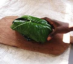 Image result for Lasimorpha