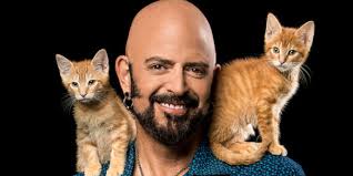 My Cat From Hell Coronavirus Special Is Coming to Help You Out