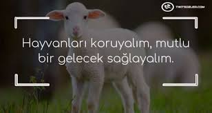 Hayvanlar Ile Ilgili Sozler Atasozleri Sloganlar Ve Hadisler