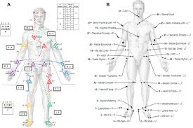 Then find a secret messa. Graphical View Of Marker Set Position Of The Markers On Body Parts I Download Scientific Diagram