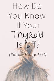 Hold the mirror in your hand, focusing on the lower front area of your neck, above the collarbones, and below the voice box (larynx). How Do You Know If Your Thyroid Is Off Simple Home Test Kezia Hall Holistic Nutritionist