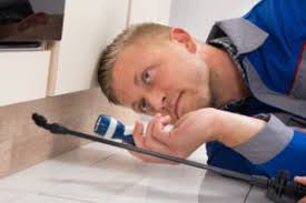 For a pest control company you can rely on, johnson pest control is the most trusted exterminator in the area. Hudson Pest Control Florida S Best Pest Control Service